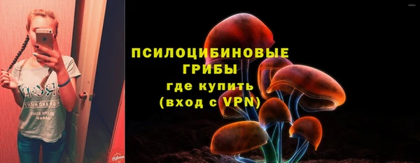 прущая мука Лагань