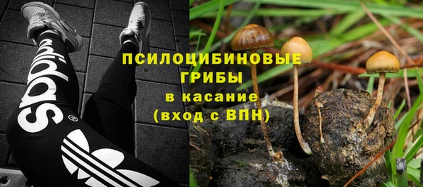 эйфоретик Ладушкин
