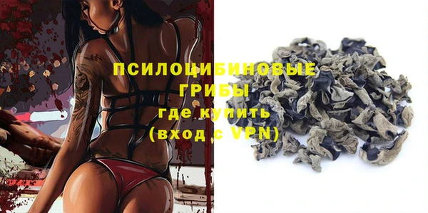 эйфоретик Ладушкин